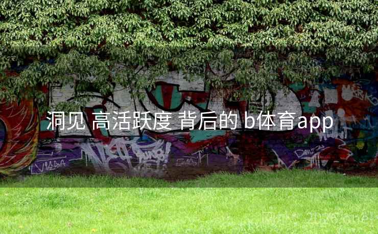 洞见 高活跃度 背后的 b体育app