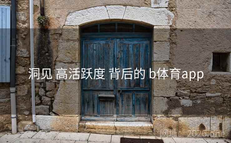 洞见 高活跃度 背后的 b体育app
