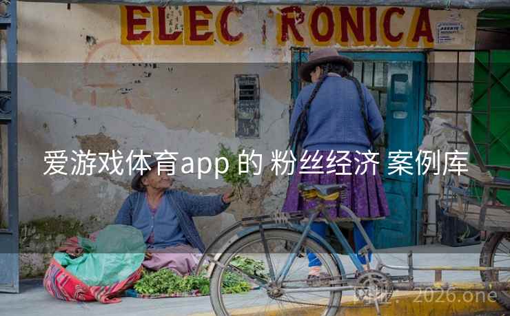 爱游戏体育app 的 粉丝经济 案例库