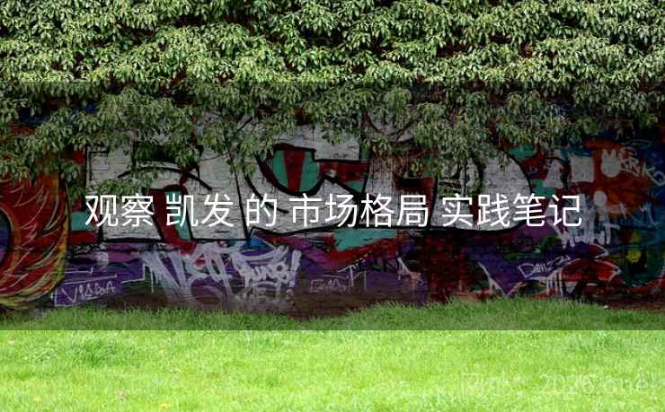 观察 凯发 的 市场格局 实践笔记