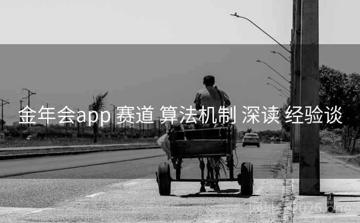 金年会app 赛道 算法机制 深读 经验谈