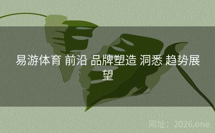 易游体育 前沿 品牌塑造 洞悉 趋势展望