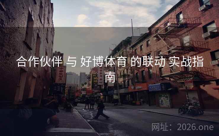 合作伙伴 与 好博体育 的联动 实战指南