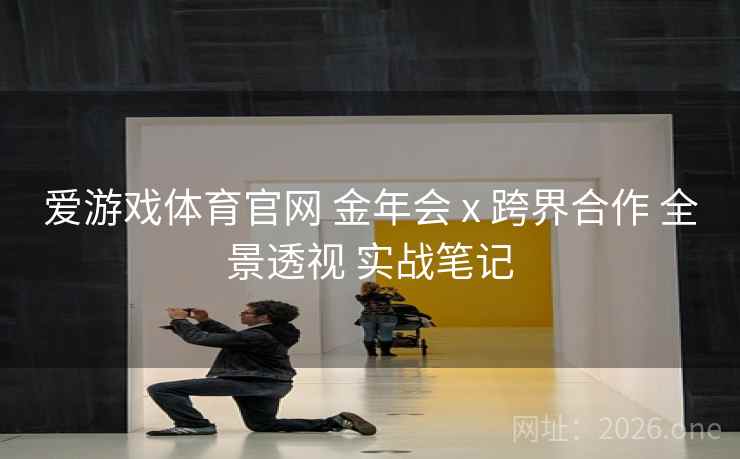 爱游戏体育官网 金年会 x 跨界合作 全景透视 实战笔记