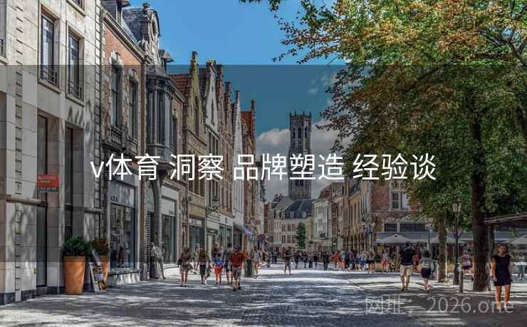 v体育 洞察 品牌塑造 经验谈