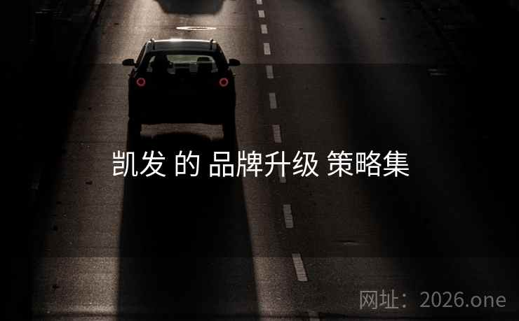 凯发 的 品牌升级 策略集