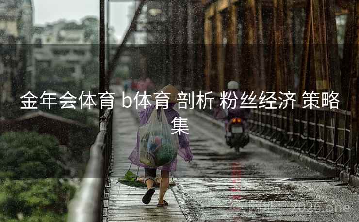 金年会体育 b体育 剖析 粉丝经济 策略集