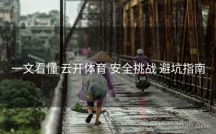 一文看懂 云开体育 安全挑战 避坑指南