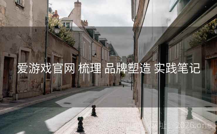 爱游戏官网 梳理 品牌塑造 实践笔记