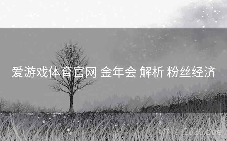 爱游戏体育官网 金年会 解析 粉丝经济