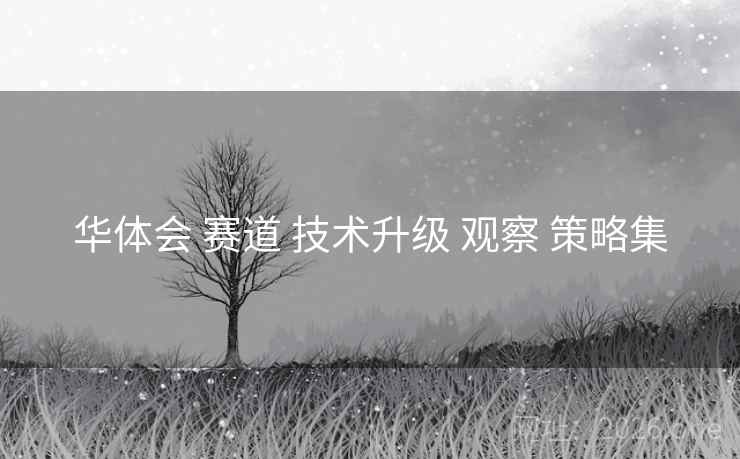 华体会 赛道 技术升级 观察 策略集