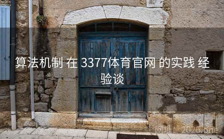 算法机制 在 3377体育官网 的实践 经验谈