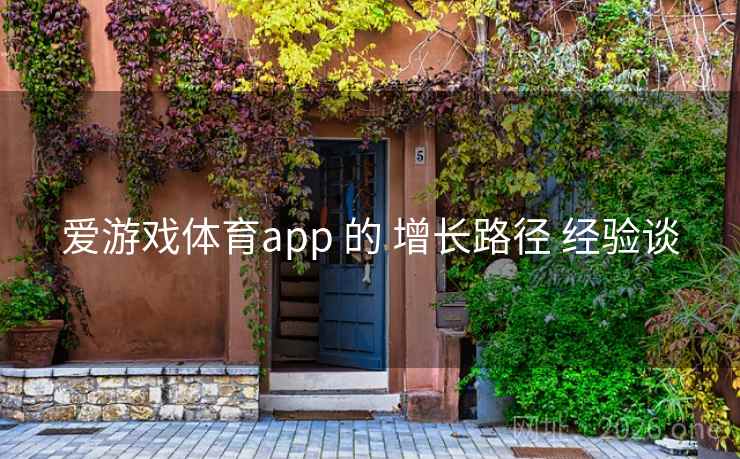 爱游戏体育app 的 增长路径 经验谈 爱游戏体育app 的 增长路径 经验谈