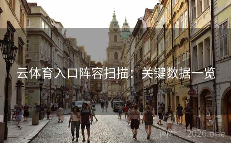 云体育入口阵容扫描：关键数据一览